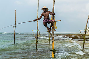 Stilt Fishing, Weligama
